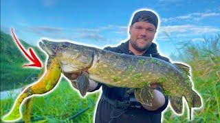 This PIKE was so Hard to Catch! Autumn Lure Fishing