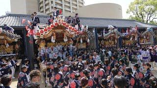 令和5年5月4日　東灘だんじり祭り 本住吉神社蔵出し(山田區・呉田區・住之江區・西區・反高林區・茶屋區・空區・吉田區)