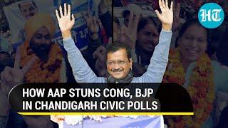 'Trailer before Punjab elections': AAP emerges lead party in Chandigarh Municipal polls