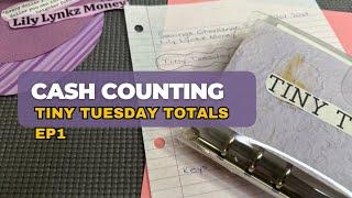 Cash Counting Saving Challenge Tiny Tuesday Binder | November 2024