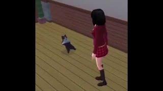 Sims cat break-dancing perfect loop 2 hours