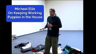 Michael Ellis on Keeping Working Puppies in the House | Protection Classes