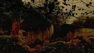 Witchy cottage with Bats Ambient Music #ambient #halloween #spooky