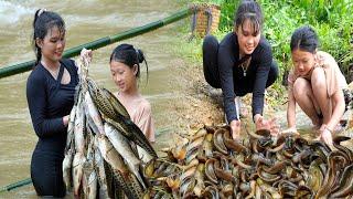 How to make fish traps, Harvesting fish in flood season | Em Tên Toan