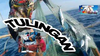 BOHOL / TULINGAN FISHING