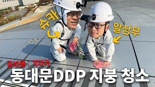 체험 삶의 현장?! 취업 사기 현장?! 동대문 DDP 지붕 청소(#슈카 & #알상무 ) | 슈카의 서울산책 