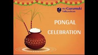 SGV's vibrant Pongal celebration. A Spectacular showcase of traditional Tamil culture...