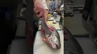 Chef instructor explaining how to remove a salmon head 