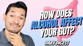 How Does Alcohol Affects Your Gut?