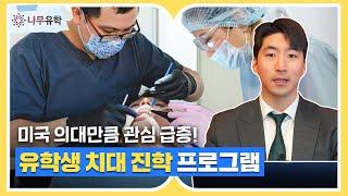 유학생이 미국 치대에 진학하는 2가지 방법ㅣ4+4와 7year 프로그램