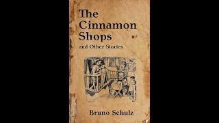 Plot summary, “The Cinnamon Shops” by Bruno Schulz in 5 Minutes - Book Review