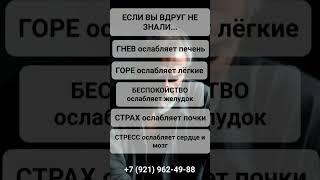 ВАЖНО О ЗДОРОВЬЕ #психология #онлайн #shorts #светланаведа
