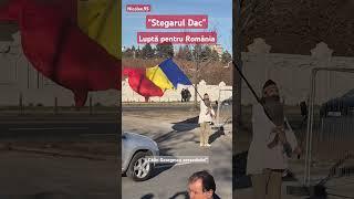 Stegarul dac - Luptă pentru România!