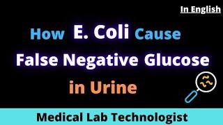 How E. Coli Cause False Negative Urine Glucose I Dipstick Glucose Method I Catalase & False Negative