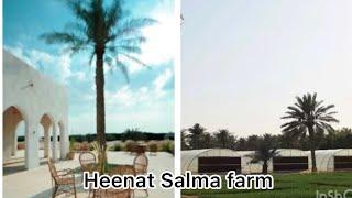 Heenat Salma Eco-friendly Farm & Camp Visit, # located in Shahaniya, northwest of Doha,Qatar