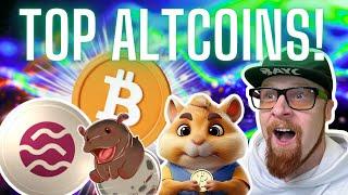 TOP ALTCOIN IM BUYING! (LAST CHANCE!)