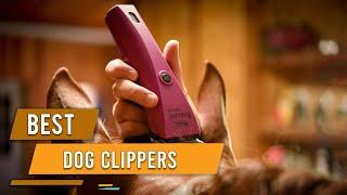 Top 5 Best Dog Clippers Review for poodles/thick hair/matted hair & labradoodles [2023]