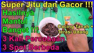  Umpan paling jitu dan gacor untuk mancing udang galah‼️ 3 kali percobaan di 3 spot berbeda