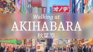 Walking at Akihabara: Electronic Town, Otaku Heaven, Maid Coffee