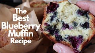 Best Blueberry Muffins Recipe ~ You'll Make Them All the Time!