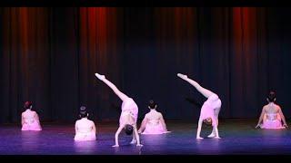 Escuela De Danza Stardanze* - Lirico Comtemporáneo - DWC2016 - PUPPYHOOD