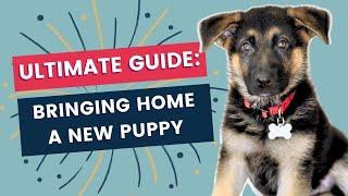 Ultimate Guide for Bringing a New Puppy Home