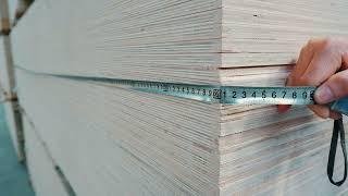 Birch Plywood – Large Size - Foresmate Group