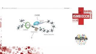 Insights into gene regulatory elements from... - Robin Andersson - RegSys - ISMB/ECCB 2019