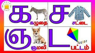 தமிழரசி- க ங ச(உயிர்மெய் எழுத்துக்கள்)|UyirMei Ezhuthukkal |Learn Tamil letters for kids|Tamilarasi