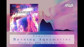 Camellia - Burning Aquamarine [TF 200k subs on YT]