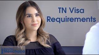 TN Visa Requirements, USA 2020