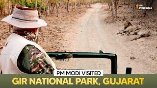 Prime Minister Narendra Modi visits Gir National Park, Gujarat