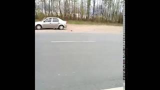 Ссыкуны