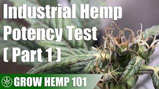 Industrial Hemp Potency Test Indoor Grow