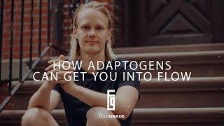 Flowgrade Show #21: Tero Isokauppila on how Adaptogens can get you into Flow