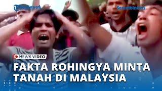 Sempat Viral Rohingya Demo Minta Tanah di Malaysia, Ternyata Begini Faktanya