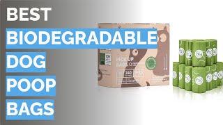  10 Best Biodegradable Dog Poop Bags (Doggy Do Good, UNNI, and More)