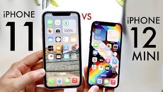 iPhone 12 Mini Vs iPhone 11! (Comparison) (Review)