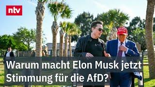 Warum macht Elon Musk jetzt Stimmung für die AfD? - Trump-Flüsterer mischt sich ein | ntv