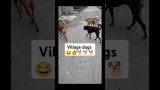 #villagedogs#streetdogs