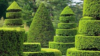 Topiary Garden