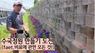 식재 후 3년만에 수국정원만들기 도전~(faet.비료에 관한 모든것!)