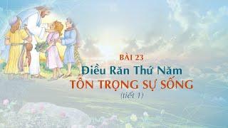 GIÁO LÝ CẤP I - BÀI 23:  Điều Răn Thứ Năm - TÔN TRỌNG SỰ SỐNG (tiết 1)