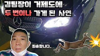 중고차 탁송거래 중에 이런일이? 고객님 죄송합니다. 감사합니다. ㅠㅠ 1000만원대 벤츠 E클래스 구매대행 과정