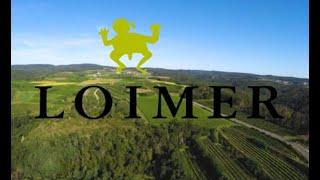 Loimer Weingut, Kamptal, AUSTRIA. VINEYARDS AND DRONE