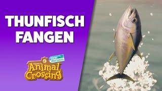  So fängst du einen Thunfisch in Animal Crossing New Horizons  Angel Guide: Thunfisch fangen 