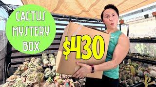 Unboxing a $430 Cactus Mystery Box (Rare & Unusual Plants!)