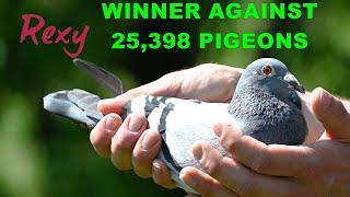 FIRST 2 WINNERS AGAINST 23,938 PIGEONS