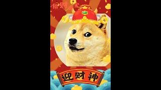 马斯克今天又说什么了，狗狗币又开始冲天了！DOGECOIN HIT $ 0.52 AGAIN! What Elon musk tweeted?  DOGECOIN TO THE MOON! 