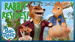 @OfficialPeterRabbit - ‍️ Rescue Rabbits! ‍️ | 20+ MINS | Cartoons for Kids